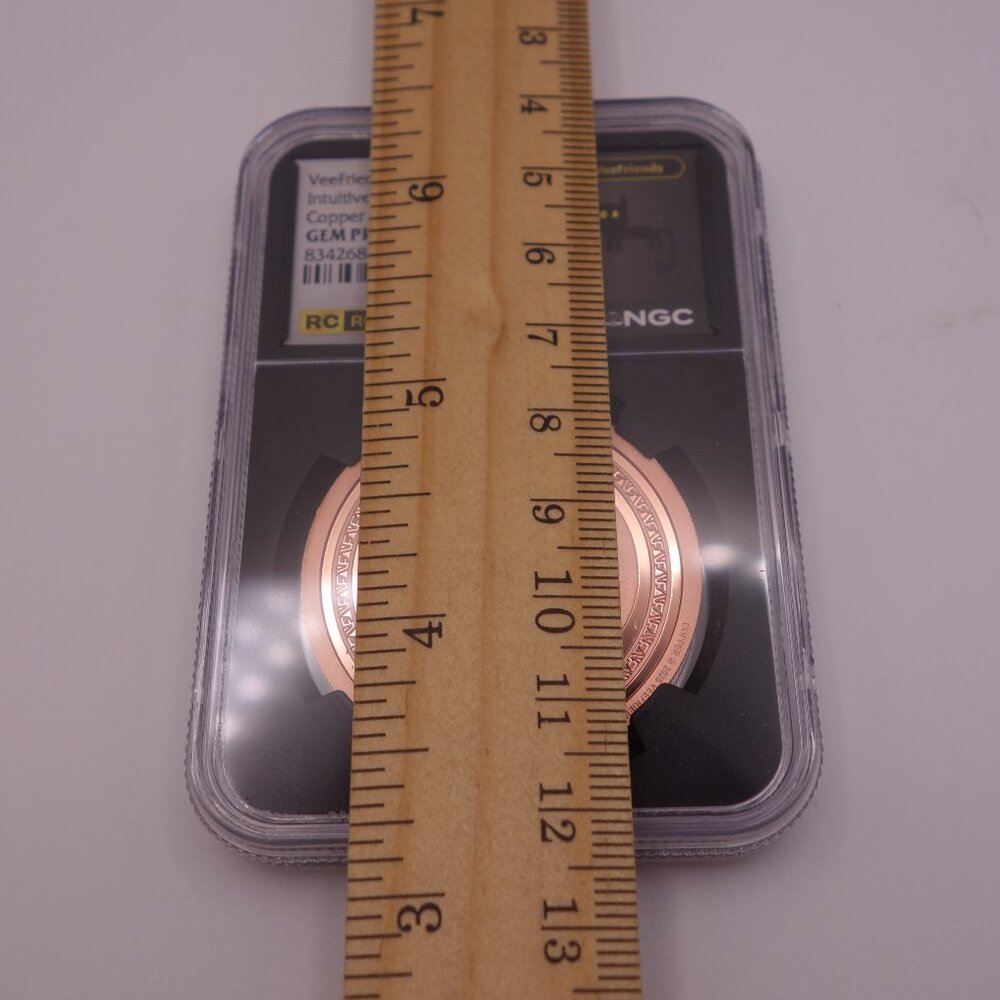VeeFriends Coins 2025 Intuitive Iguana Copper Medal GEM PROOF Rookie Coin NGC - Picture 15 of 16
